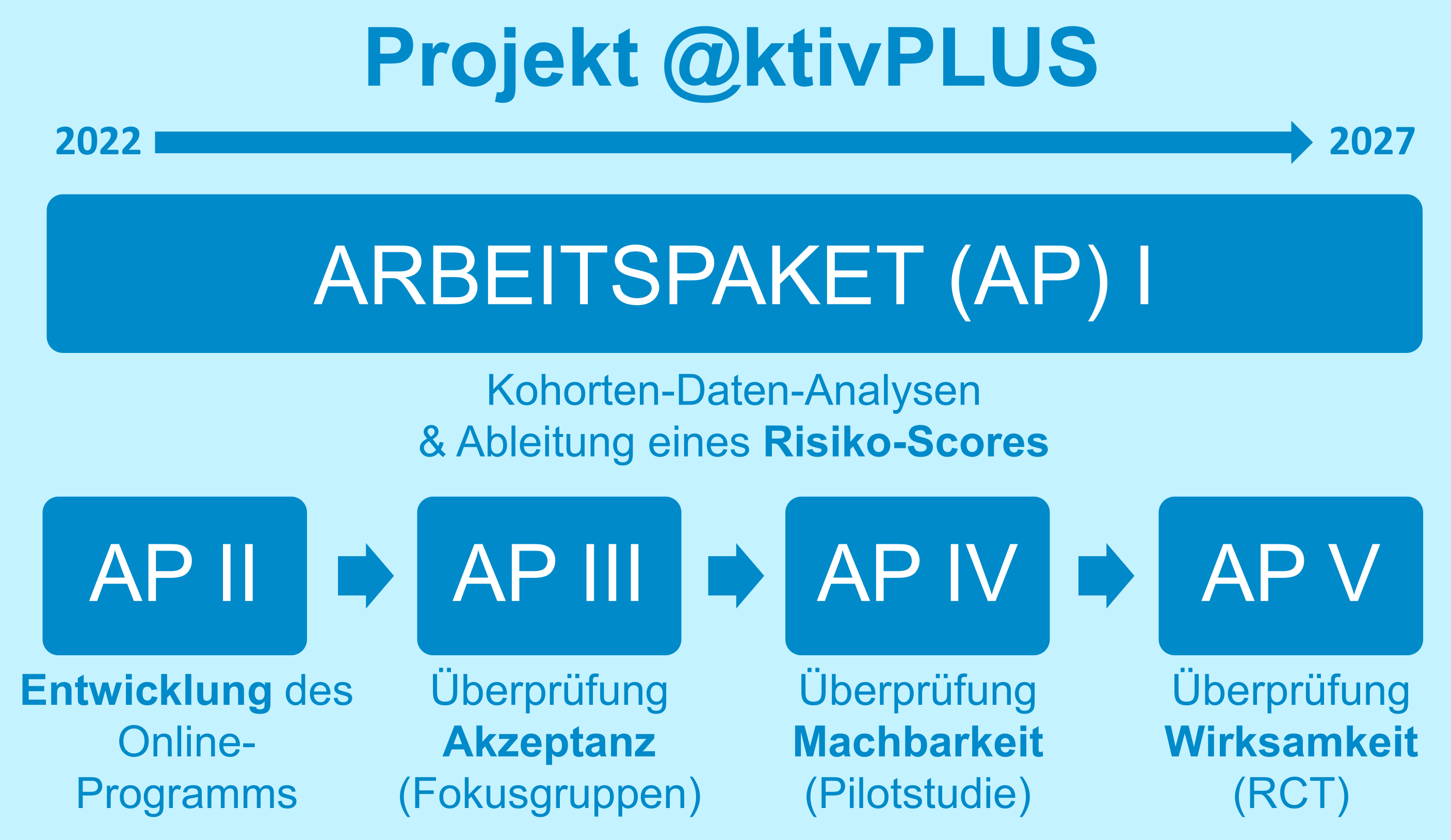 Übersicht der Arbeitspakete der Nachwuchsforschungsgruppe @ktivPLUS