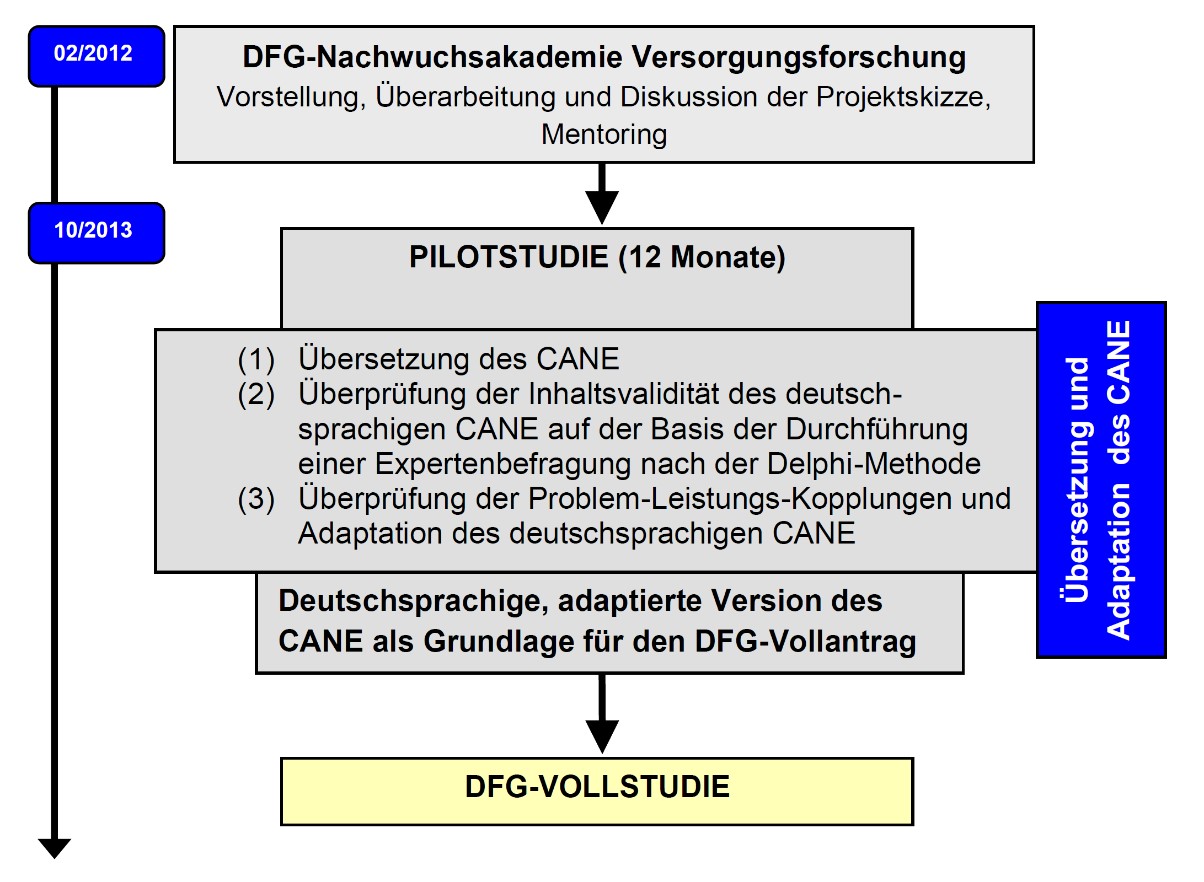 DFG-Pilotstudie.jpg